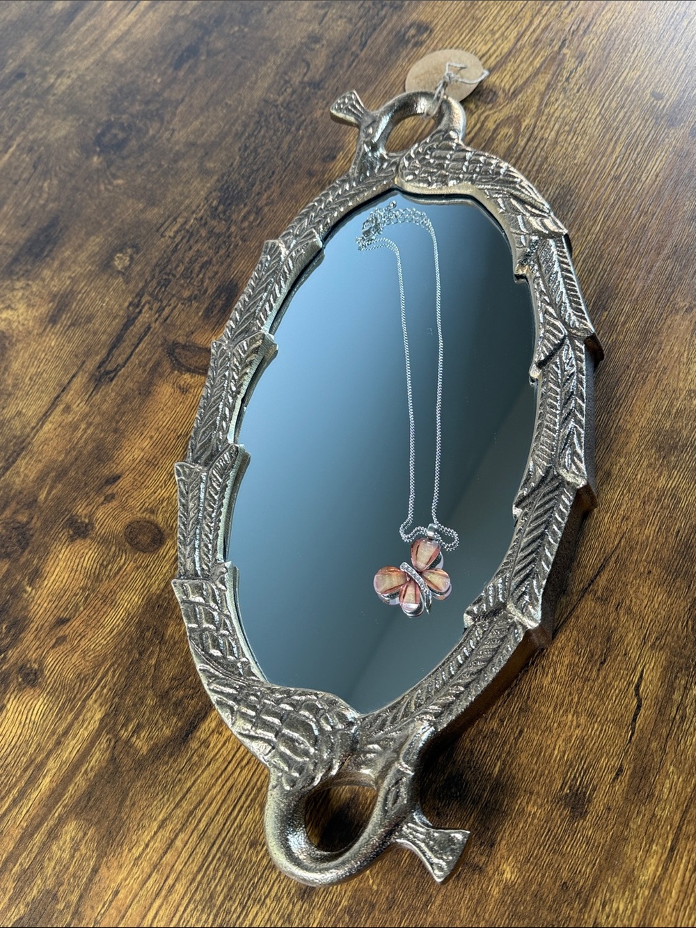 EARTHBOUND Silver Oval Decorative Mirror Tray with Ornate Frame